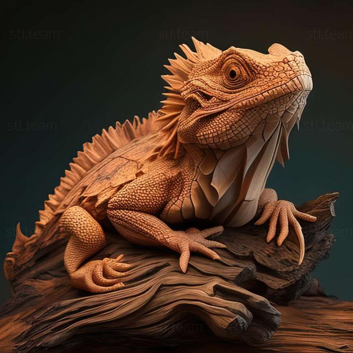 Pogona henrylawsoni